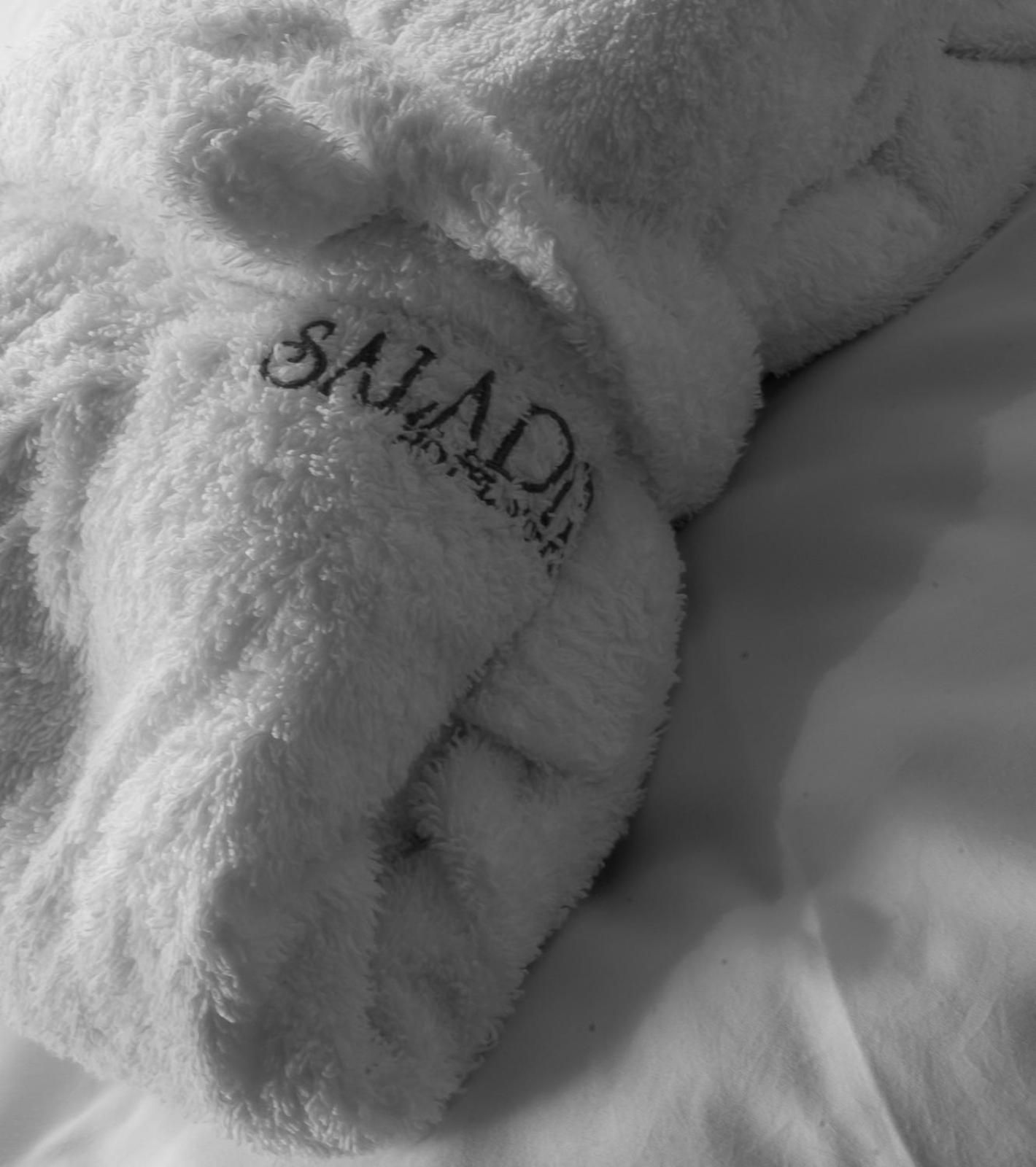Bio-Hotel Saladina ガシュルン エクステリア 写真