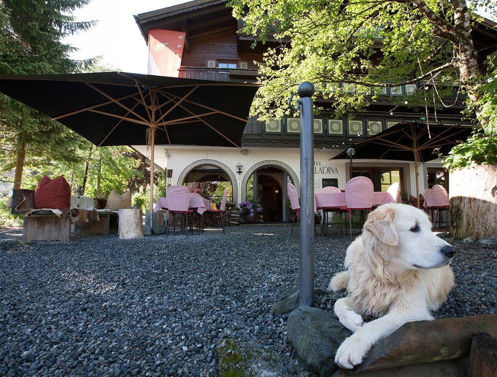 Bio-Hotel Saladina ガシュルン エクステリア 写真